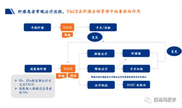 止血微球怎么用西格玛医学洞见：TACE栓塞微球临床试验设计和操作执行，助推多器械上市_https://www.jmylbn.com_新闻资讯_第1张